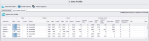 DataMatch Enterprise - Profilage des données