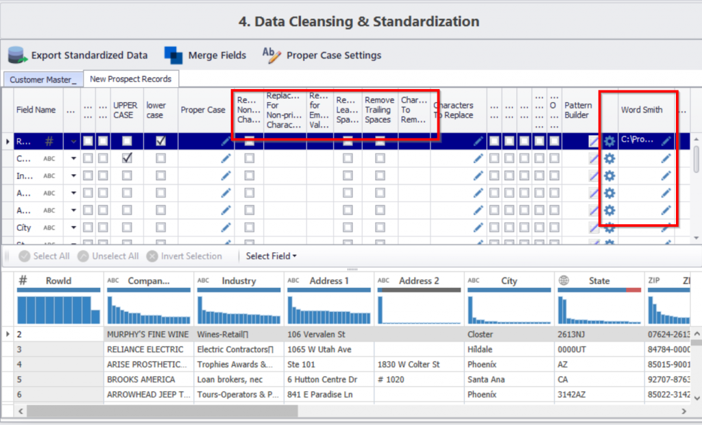 data cleansing & standardization